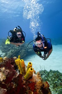 Be a Buoyancy Expert