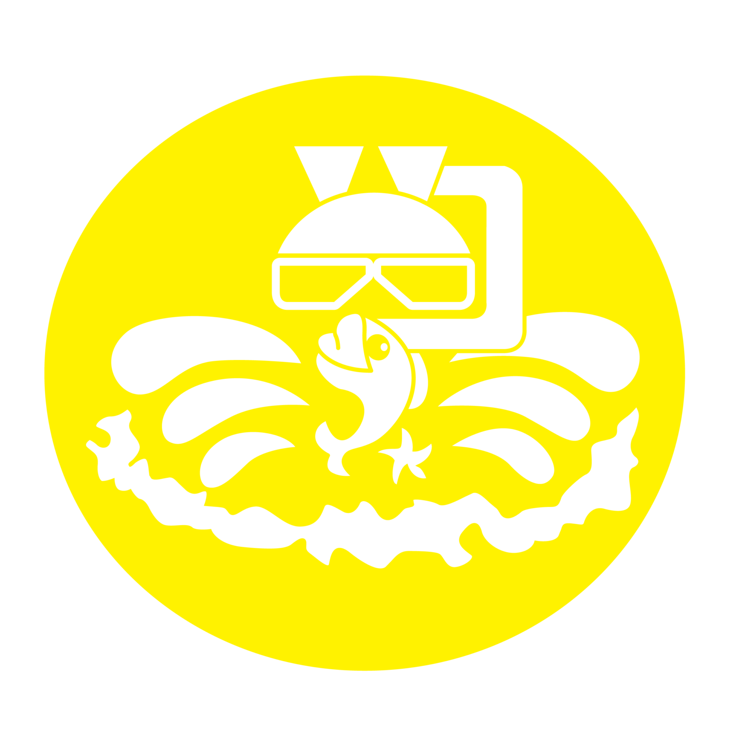 cozumel-s-wreck-the-felipe-xicotencatl-eco-divers-cozumel